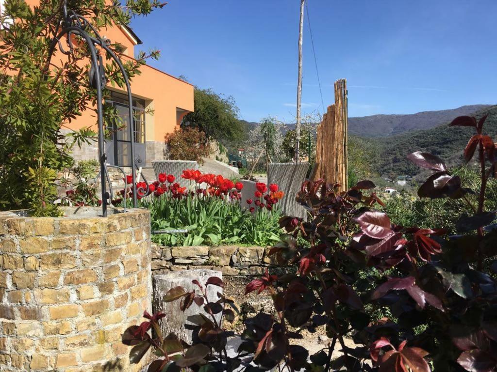 Olivo Al Mare - By Host4U Appartement Dolcedo Buitenkant foto